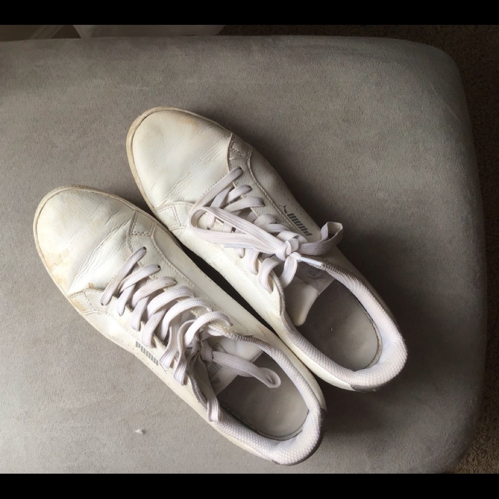 White Pumas